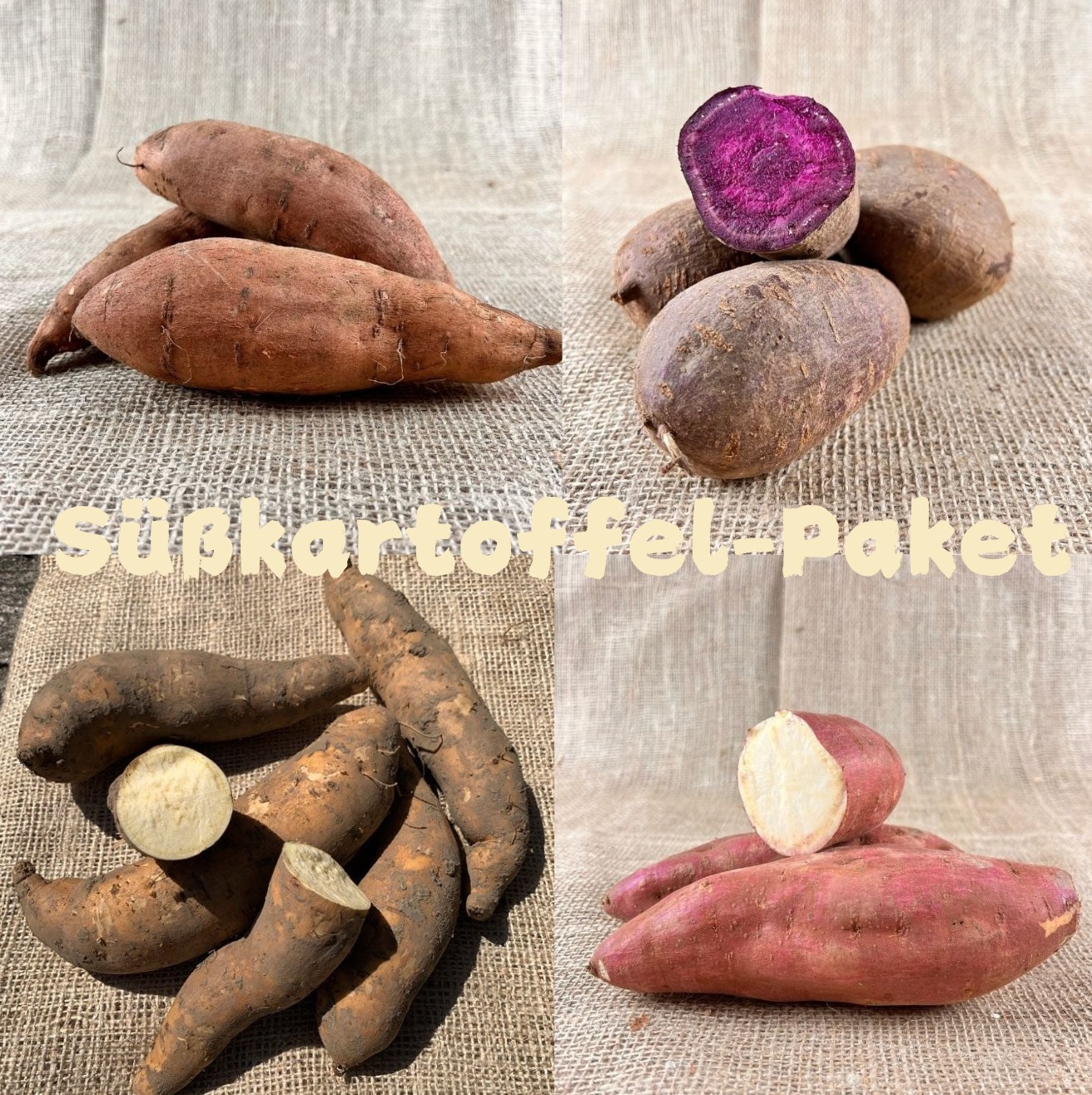 Süßkartoffel-Paket – 4 Sorten entdecken