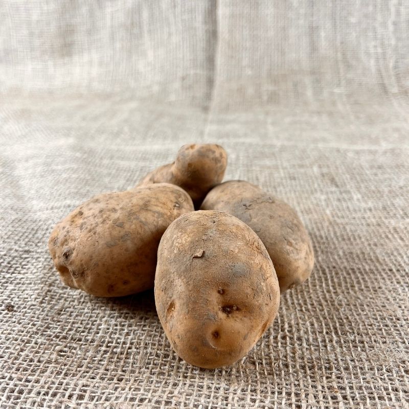 Bintje Kartoffeln