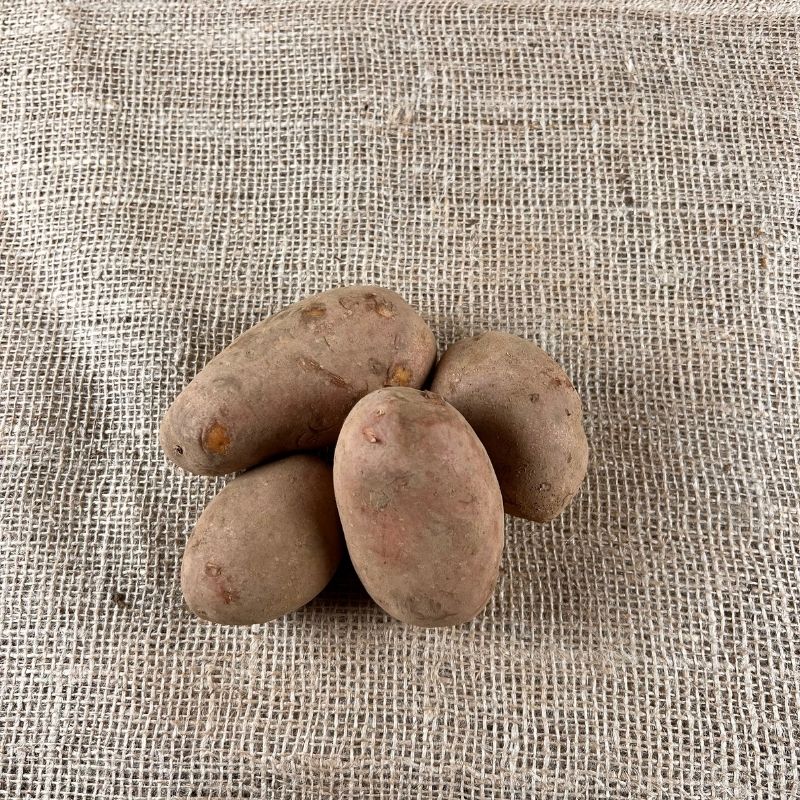 Laura Kartoffeln 2023 - Festkochende Kartoffeln