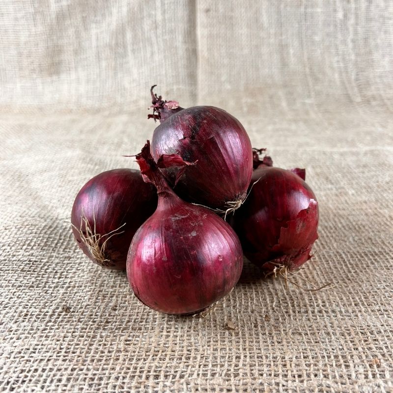 rote zwiebeln aufbewahren Rote Zwiebeln