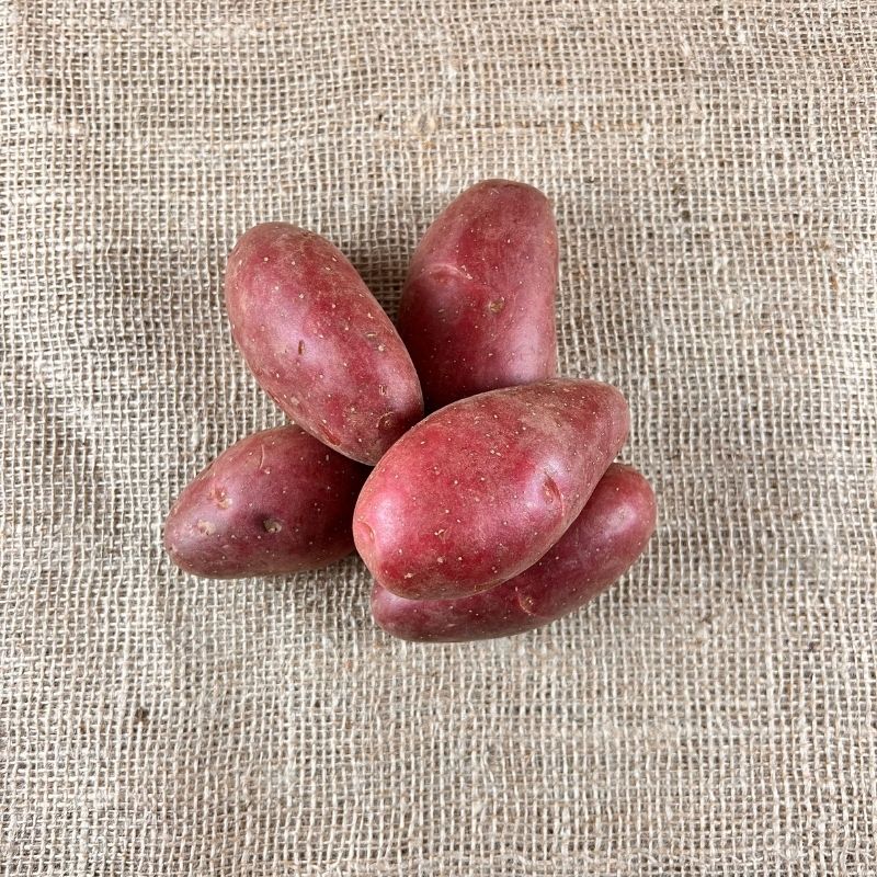 Roseval Kartoffeln