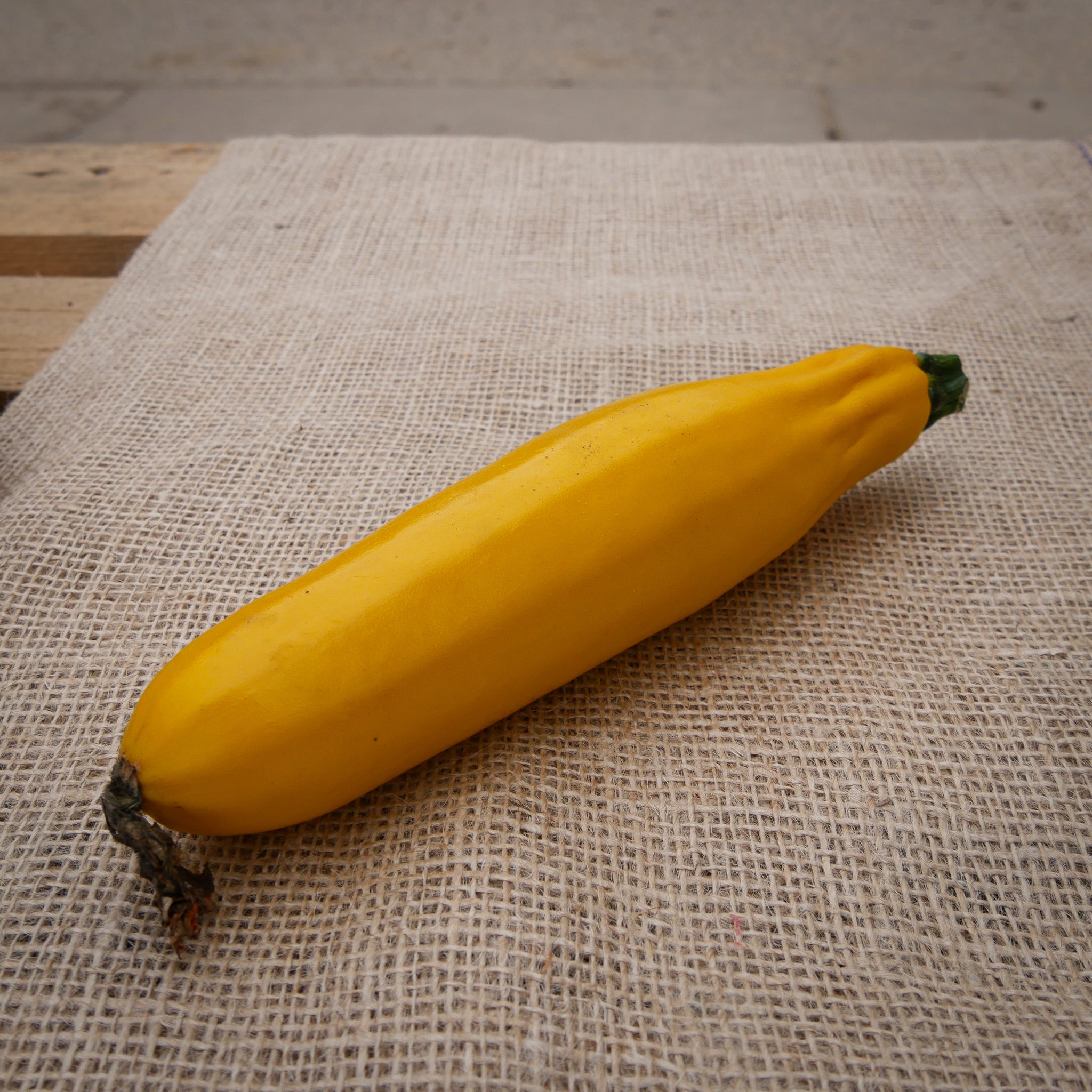 Zucchini Gelb