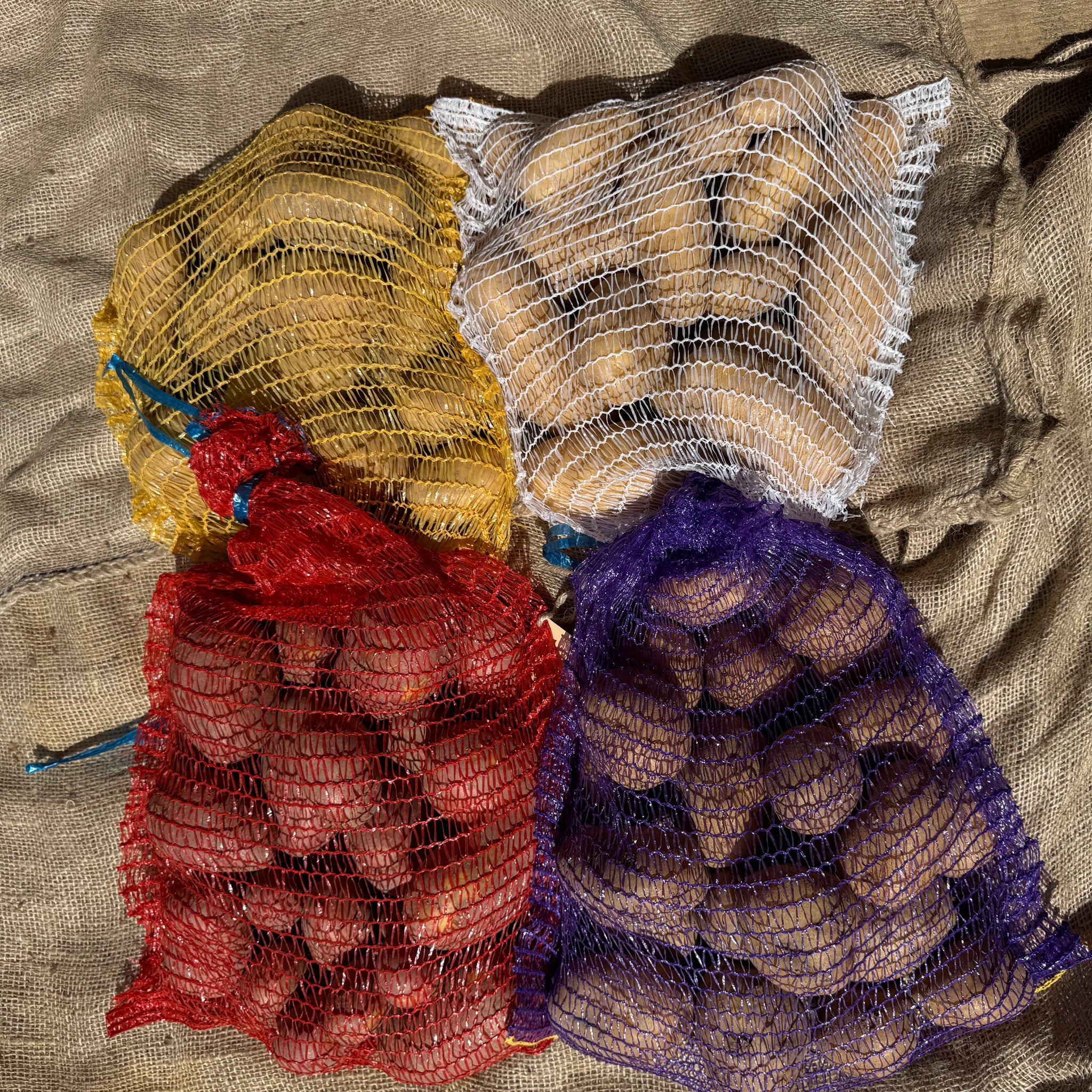 4-Sorten-Paket von mehlig bis festkochend: 4x3kg