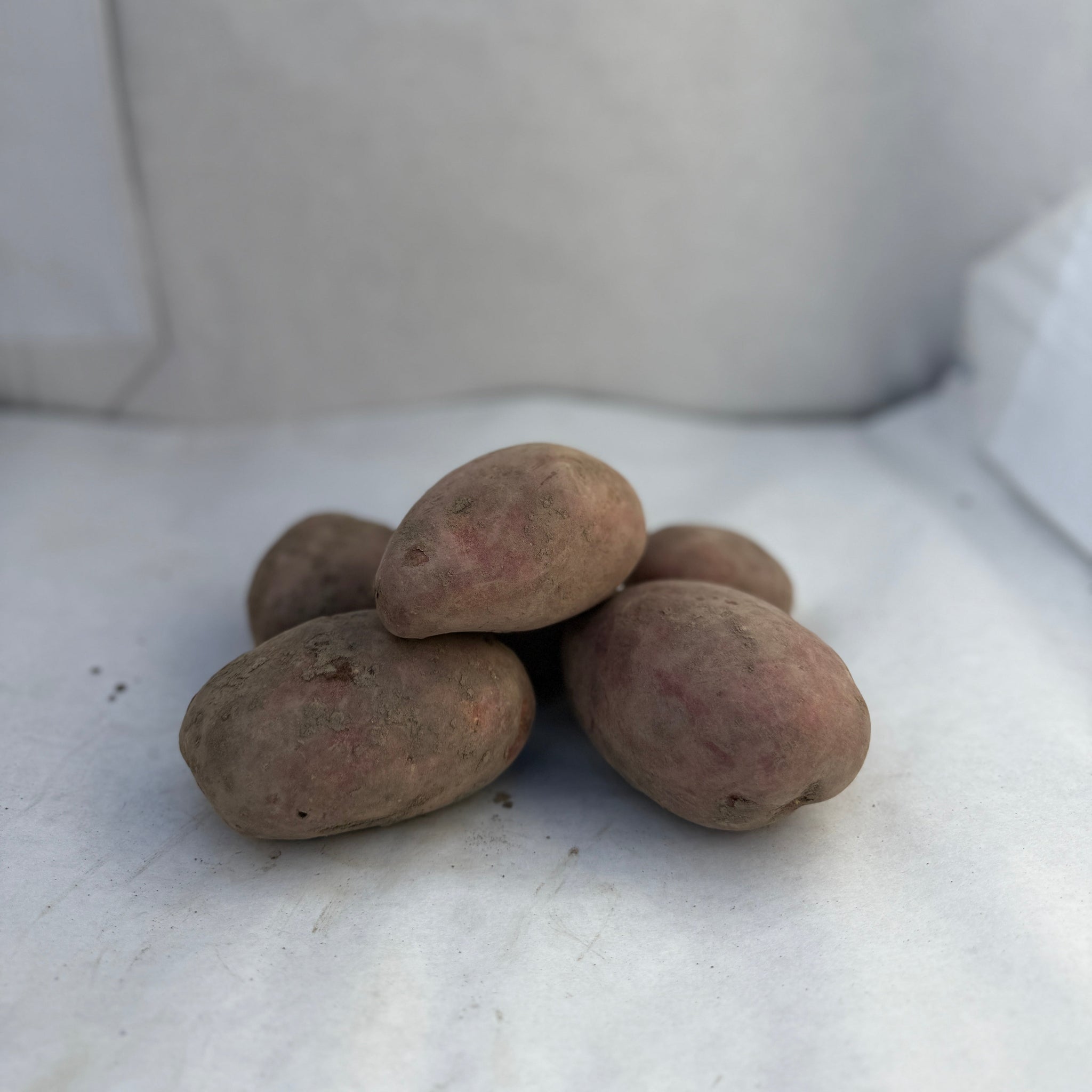 Laura - Bio Kartoffeln
