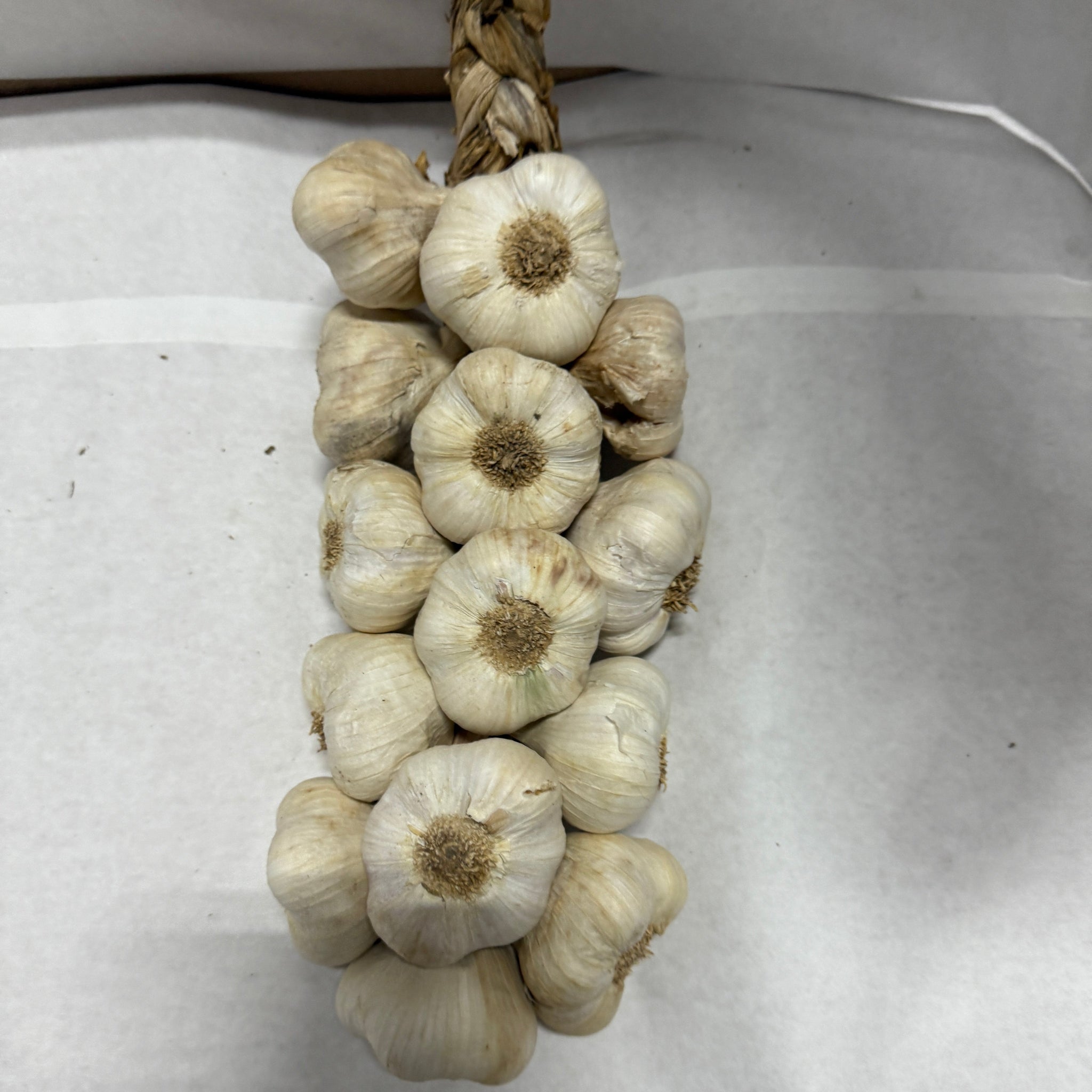 Knoblauchstrang 1kg