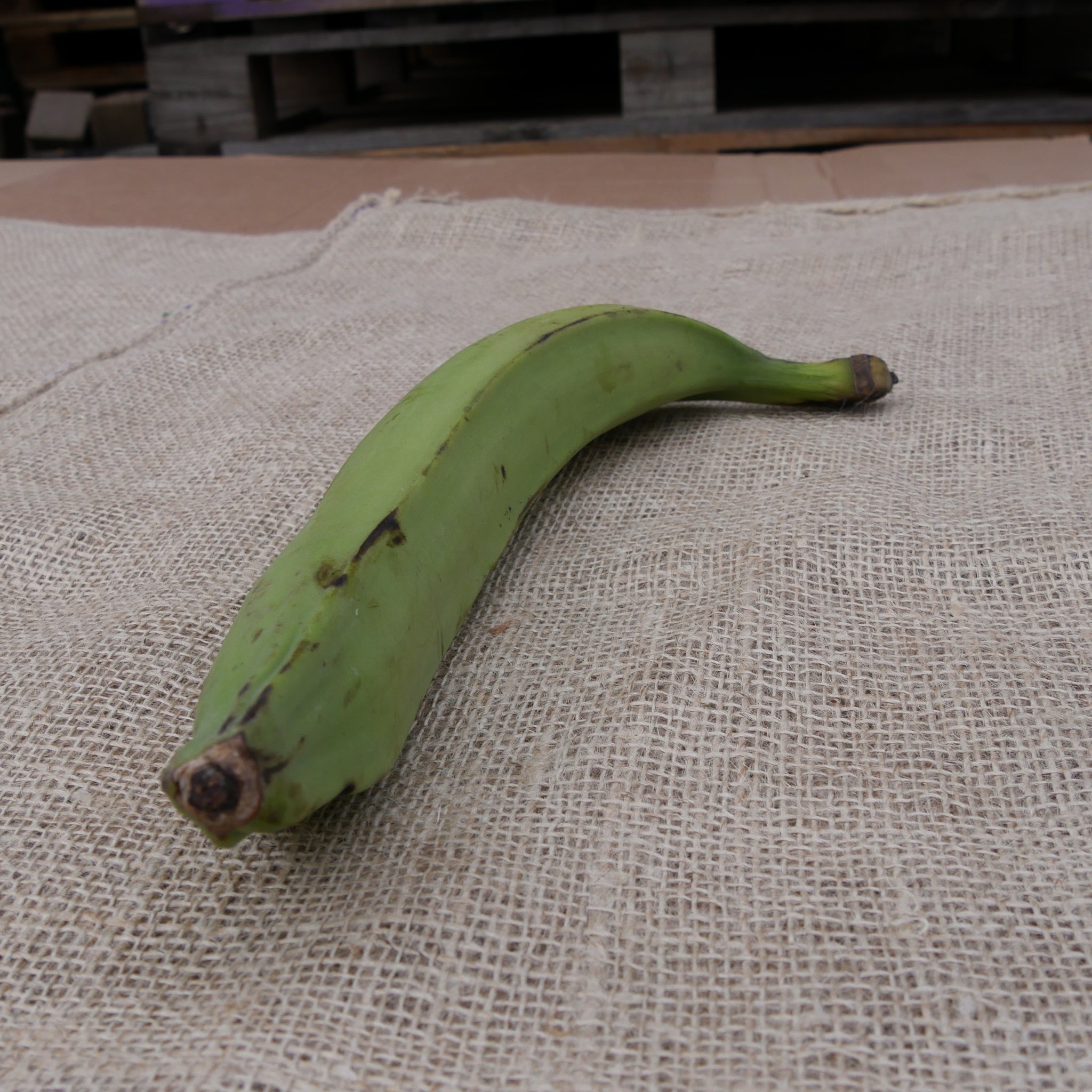 Kochbananen