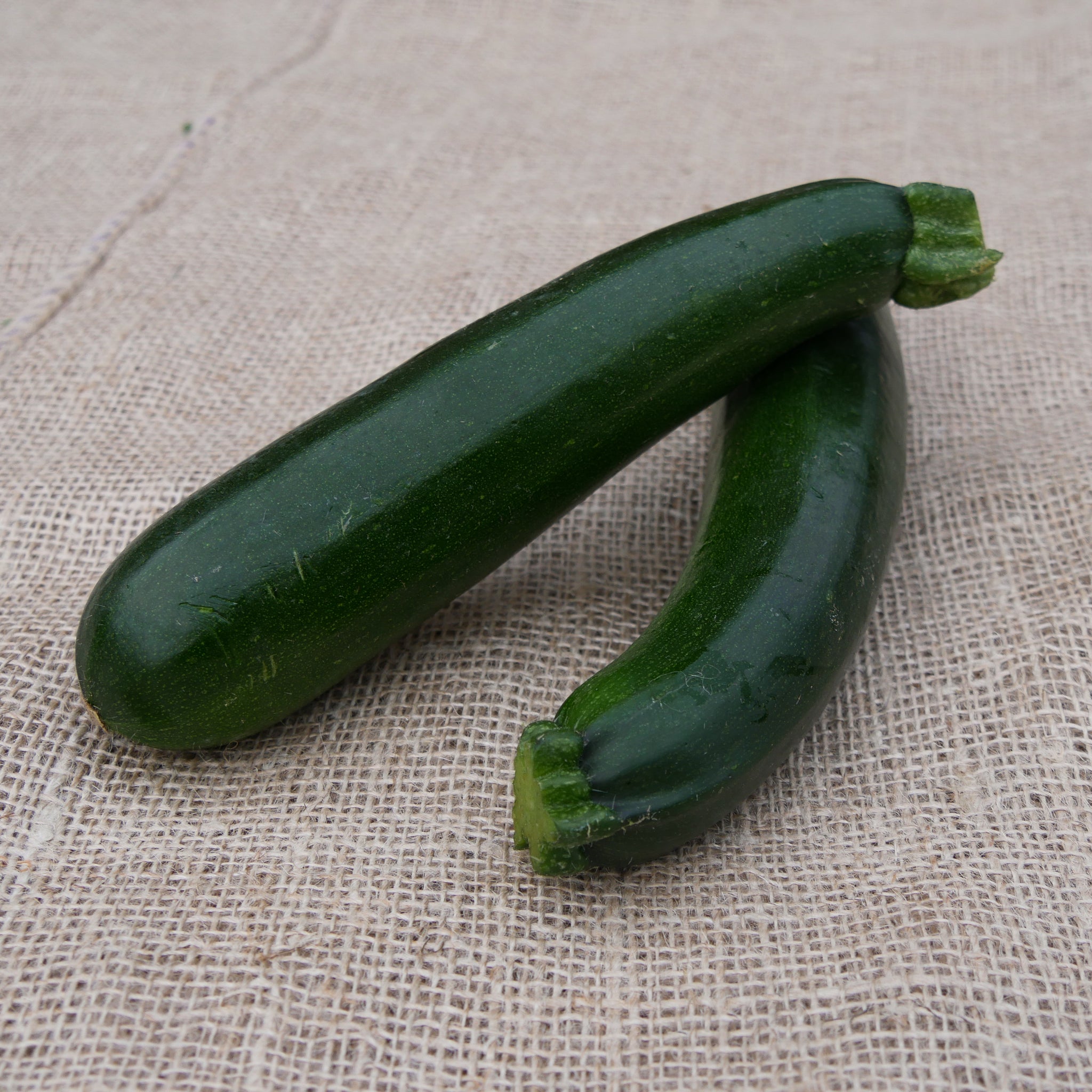 Zucchini