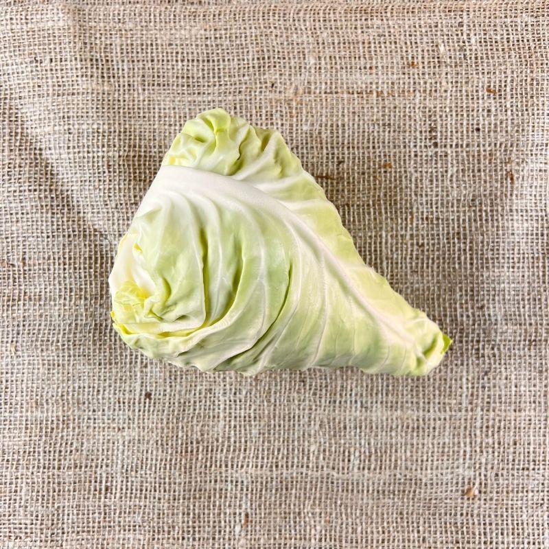 Spitzkohl