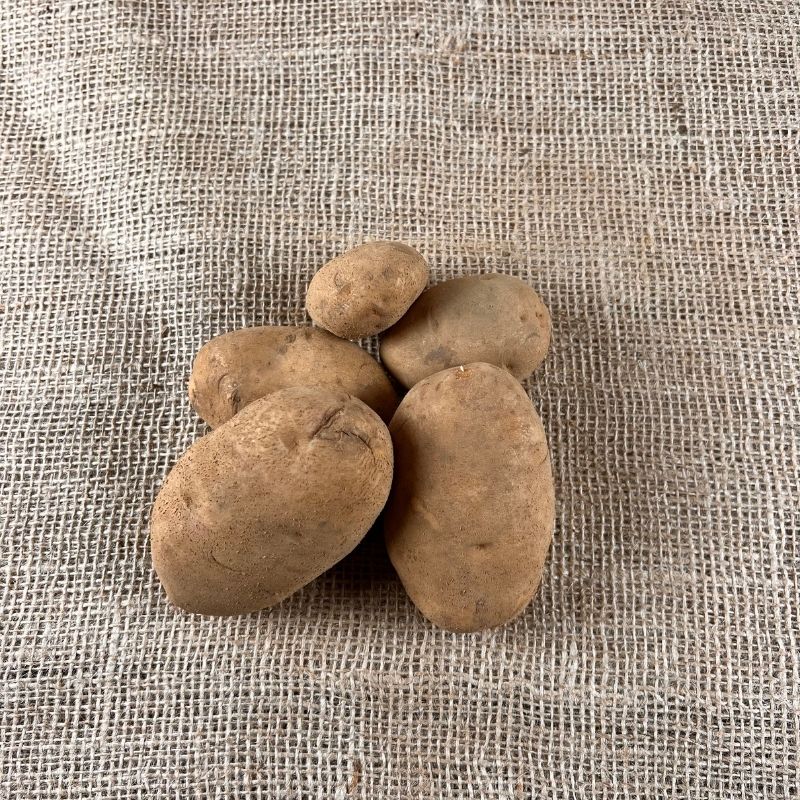 Agria Kartoffeln