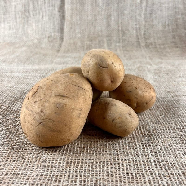 Belana Kartoffeln