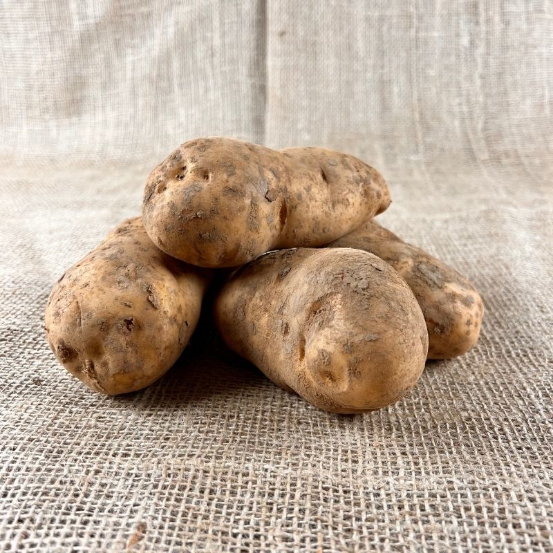 Bintje Kartoffeln - Neue Ernte 2023 - Kartoffeln für Pommes