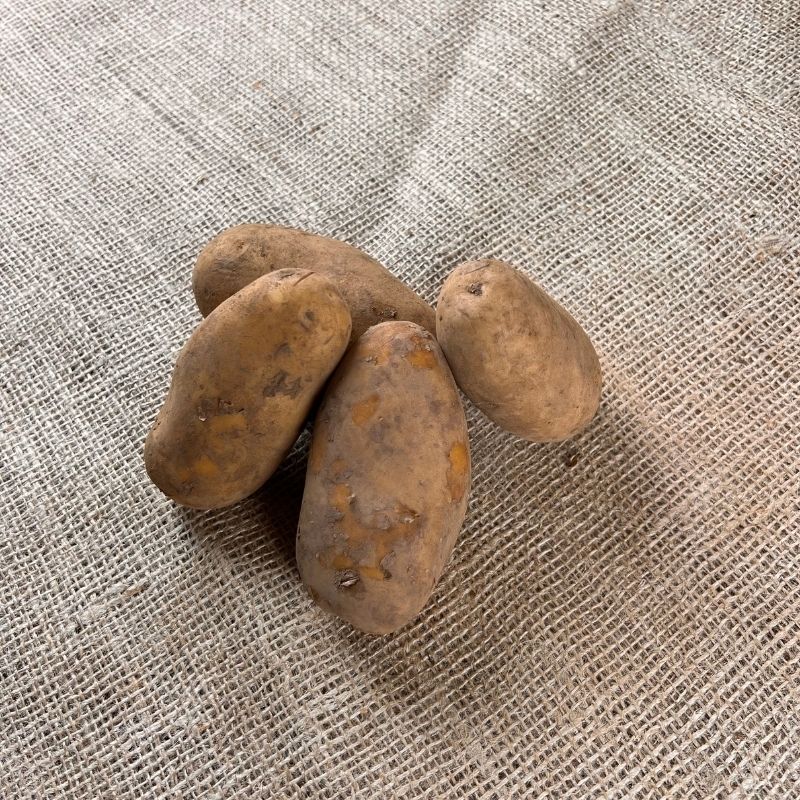Cilena Kartoffeln