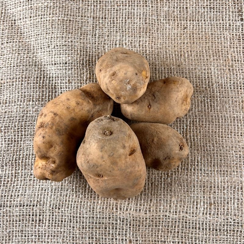 Kartoffeln kaufen online | Kartoffelshop | Direkt vom Bauern