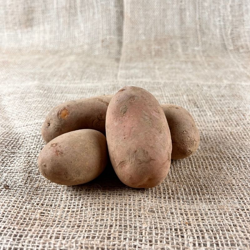 Laura Kartoffeln 2023 - Festkochende Kartoffeln