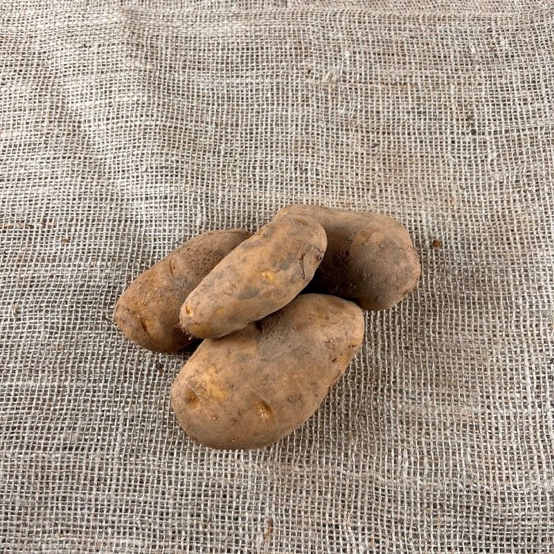 Nicola Kartoffeln