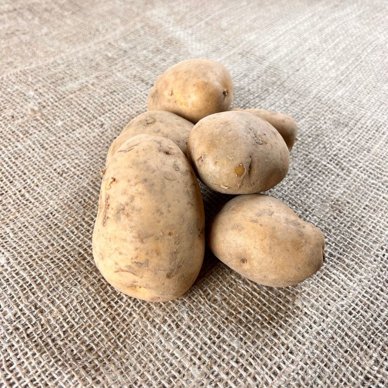 Obama Kartoffeln