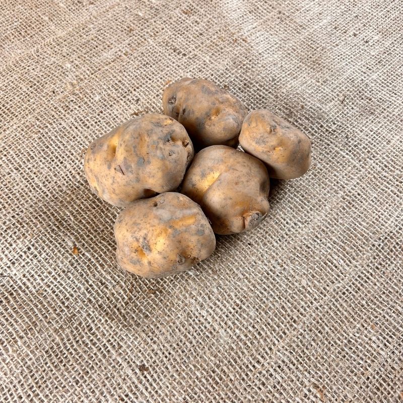 Opperdoeser Kartoffeln - Neue Ernte 2023