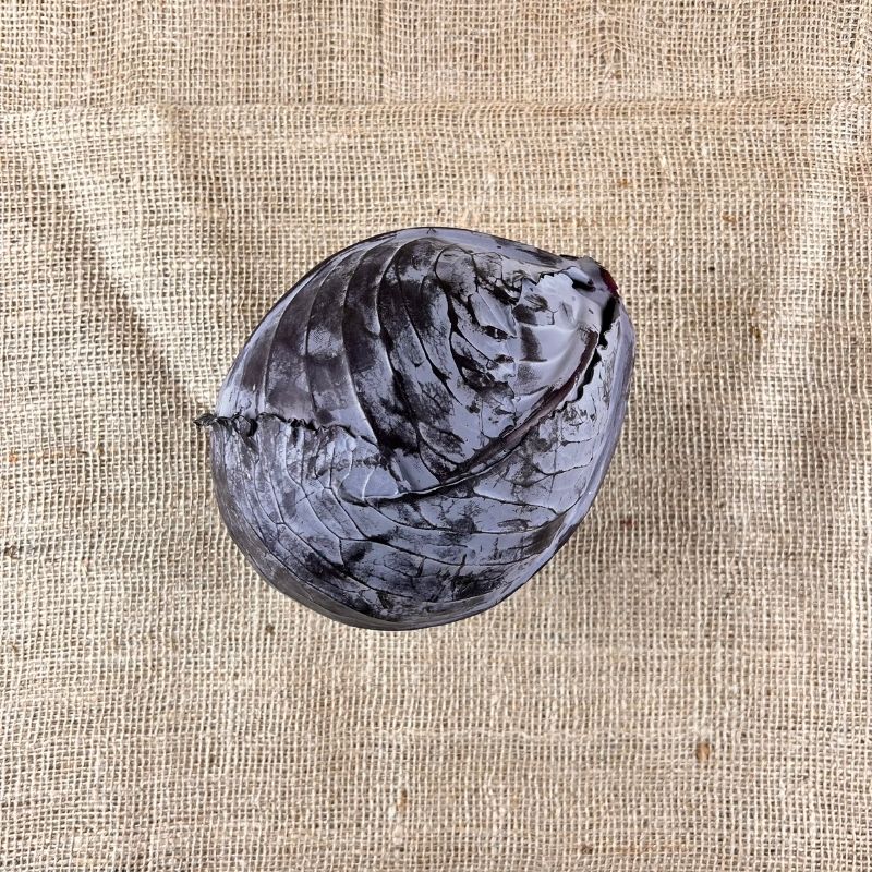 Rotkohl