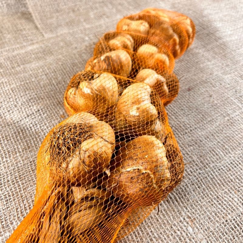 geräucherter knoblauch aufbewahren Geräucherter Knoblauchstrang