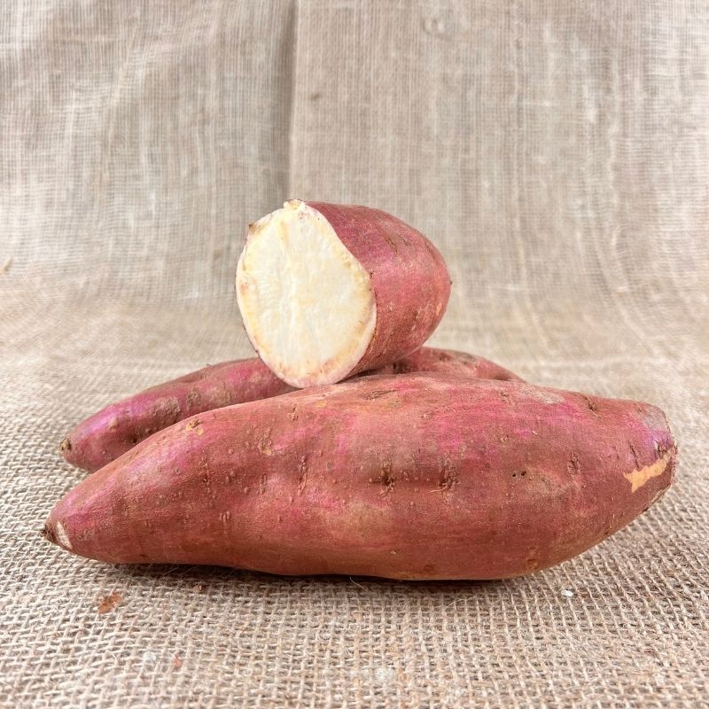 Süßkartoffel rot weiß